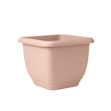 Patio Planter Misty Rose 30cm