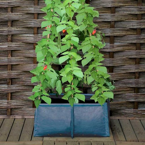 Pea & Bean Patio Planter - image 1