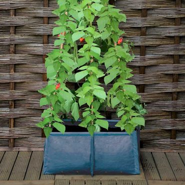 Pea & Bean Patio Planter - image 1