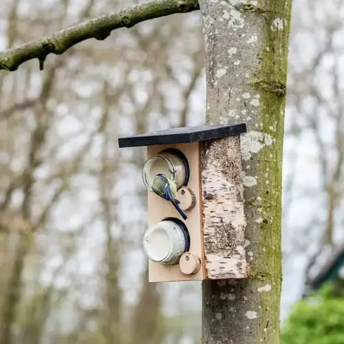 Peanut Butter Feeder Quebec Double - image 2