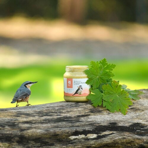 Peanut Butter For Wild Birds Mealworm - image 2