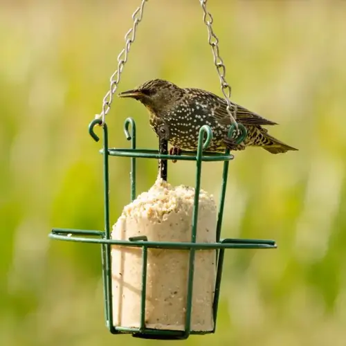 Peanut Cake Tube Feeder Metal - image 3