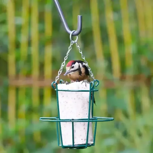 Peanut Cake Tube Feeder Metal - image 4