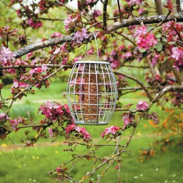 Peanut Feeder Ultra Squirrel Proof - image 3