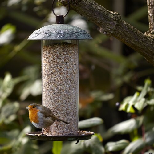 Peckish Complete 1Kg - image 3