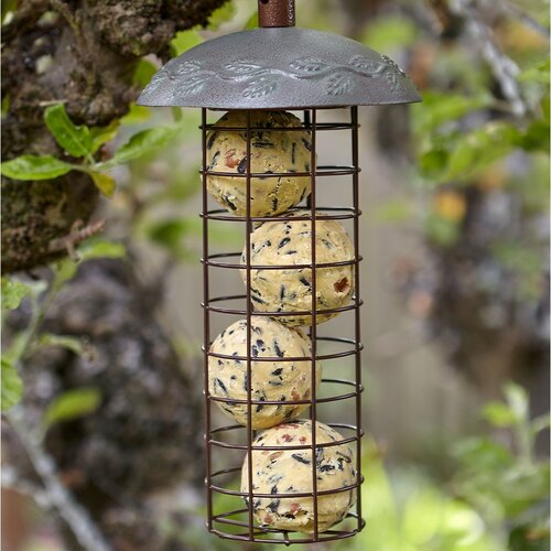 Peckish Energy Ball Feeder - image 2