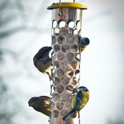 Peckish Energy Ball Feeder Large - image 2