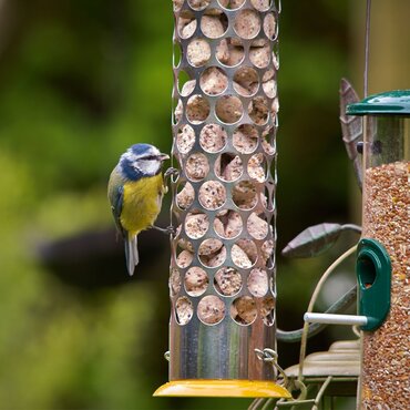 Peckish Energy Ball Feeder Large - image 3