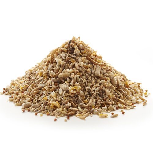 Peckish Robin Seed & Insect Mix 2Kg - image 2