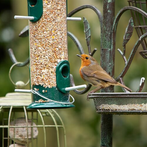 Peckish Seed Feeder Large - image 2