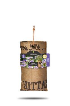 Hanging Garden - Organic Phacelia Seed Planter