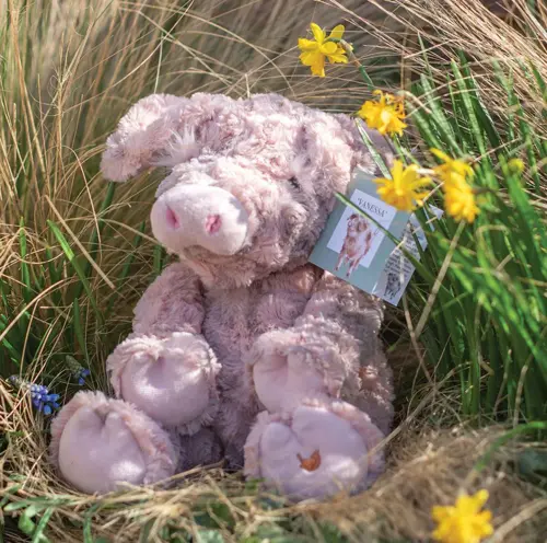 Pig Large Plush - image 2