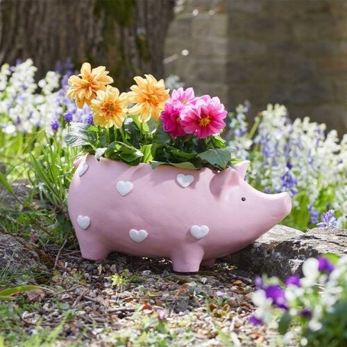 Piggy Planter