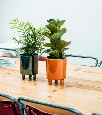 mid centure houseplant pot planter mustard