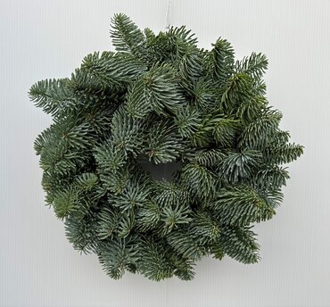 Plain Foliage Wreath 8 inch