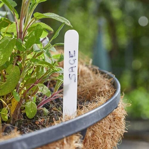 Plant Labels 10cm Pk/100 - image 1