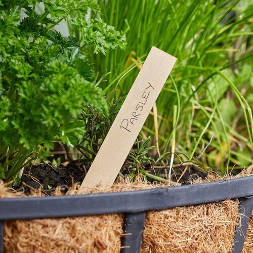 Plant Labels Wooden 15cm Pk/20 - image 1