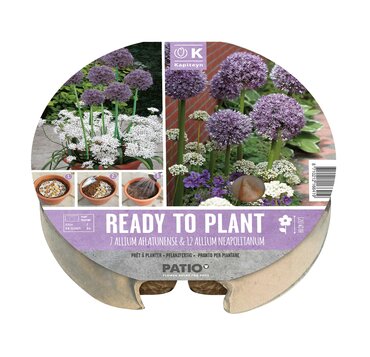 Plant-O-Mat Tray 24cm Allium - image 2