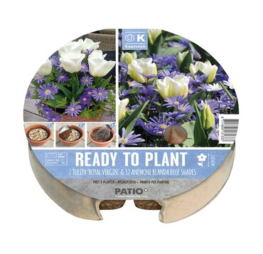 Plant-O-Mat Tray 24cm Tulip & Anemone - image 2