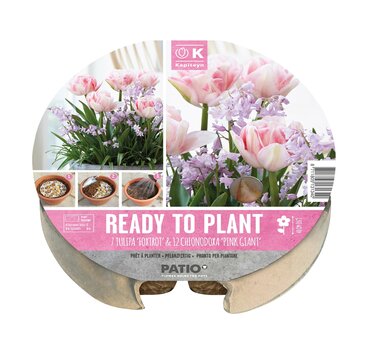 Plant-O-Mat Tray 24cm Tulip & Chionodoxa - image 2