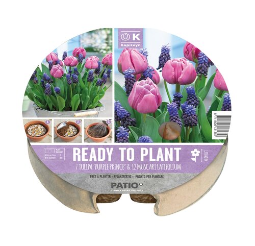 Plant-O-Mat Tray 24cm Tulip & Muscari - image 1