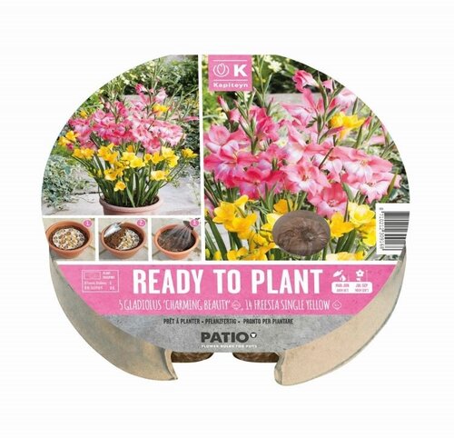 Plant-O-Mat Tray Gladioli & Freesia