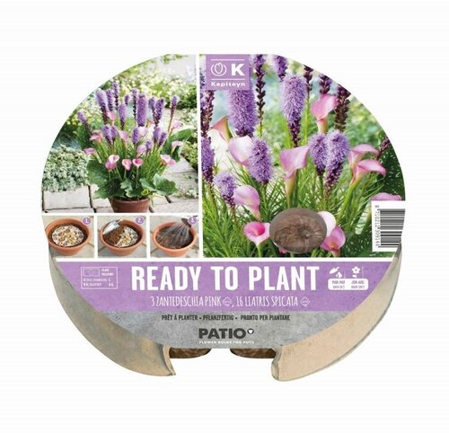 Plant-O-Mat Tray Zantedeschia & Liatris - image 1