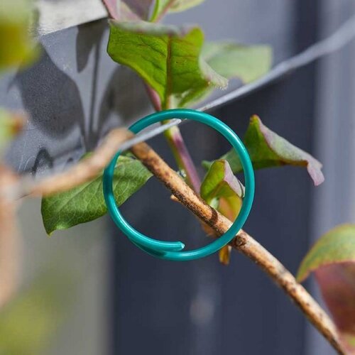 Plant Rings Coated Pk/50 - image 1