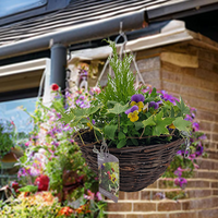 Planted Hanging Baskets