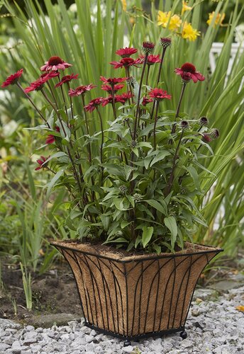 Planter Lattice Square with Liner - image 2