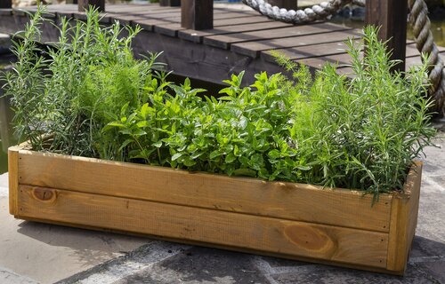 Planter Trough Wood Herb & Harvest 80cm - image 1