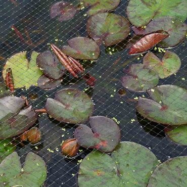 Pond & Fruit Cage Netting 12mm - 2 x 5m