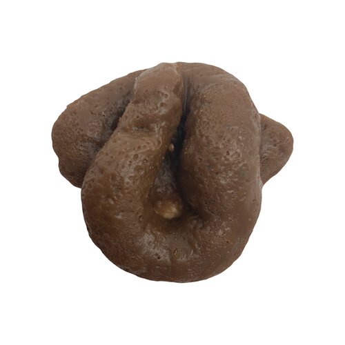 Poop in my Pocket - image 2