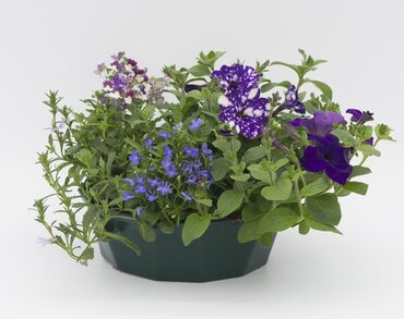 POP Planter Sea Blues