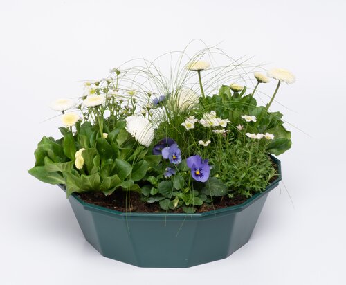 POP Planter Spring Break Mykonos