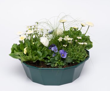 POP Planter Spring Break Mykonos