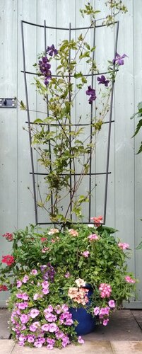 Pot Trellis Large 148x50cm - image 5