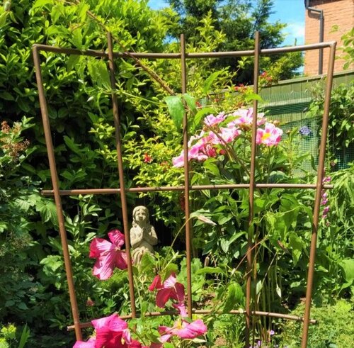 Pot Trellis Large 148x50cm - image 6