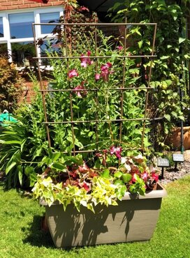 Pot Trellis Small 109x40cm - image 4