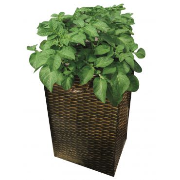 buy potato growing bag