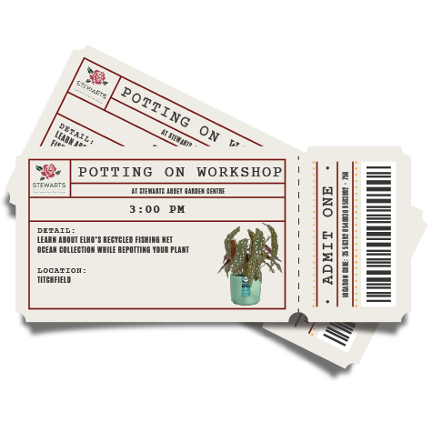 Potting On Workshop Ticket (Stewarts Abbey Garden Centre)