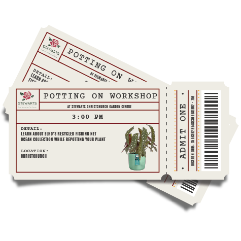 Potting On Workshop Ticket (Stewarts Christchurch Garden Centre)