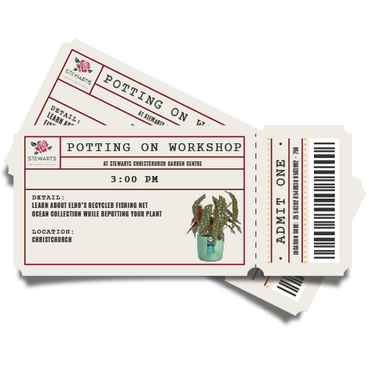 Potting On Workshop Ticket (Stewarts Christchurch Garden Centre)