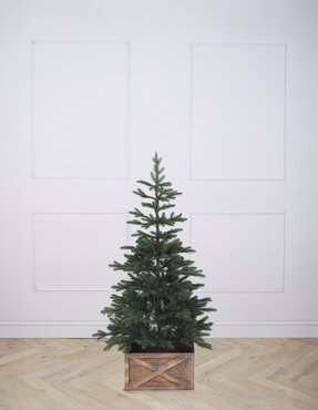 Pre-Lit Elsa Green (4ft 120cm) - image 6