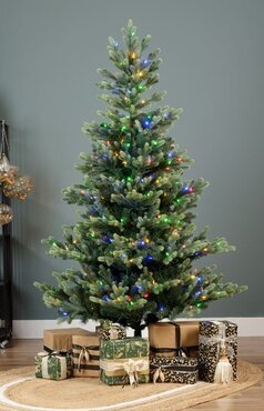 Pre-Lit Glen Co Fir Colour Switch - image 1