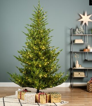 Pre-Lit Norway Spruce (7ft 210cm)
