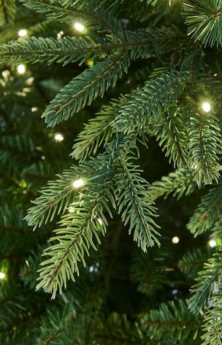 Pre-Lit Royal Fir - image 2
