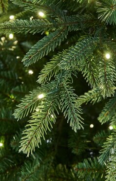 Pre-Lit Royal Fir (7.5ft) - image 2