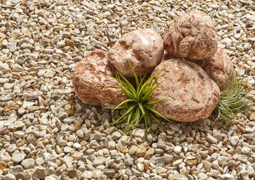 Premium Natural Cobble - image 3