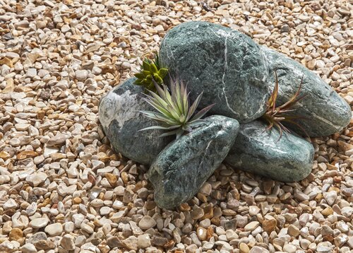 Premium Natural Cobble - image 2